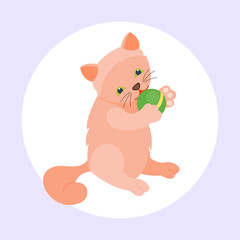 Cat breed cute kitten red pet portrait fluffy young adorable cartoon animal and pretty fun play feline sitting mammal domestic kitty vector illustration.