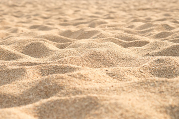 Naklejka na ściany i meble sand dunes