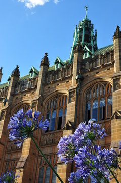 University Of Sydney