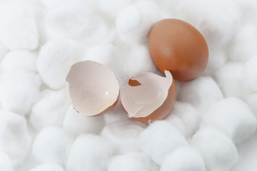 Risk and danger concept image of broken egg shell and brown chicken egg on cotton balls soft surface