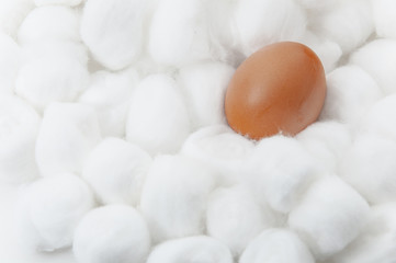 Brown chicken egg in soft cotton balls as symbol of safety and success life