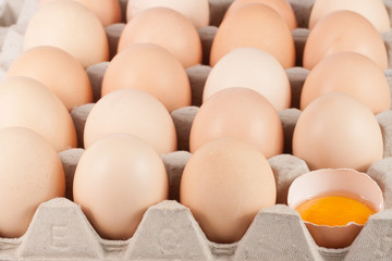 Eggs in the tray as a background