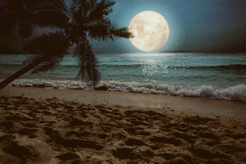 Beautiful fantasy tropical beach with star and full moon in night skies (seascape) - Retro style artwork with vintage color tone