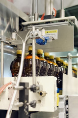 Plastic bottles with beer on the conveyor of an automatic packing machine.