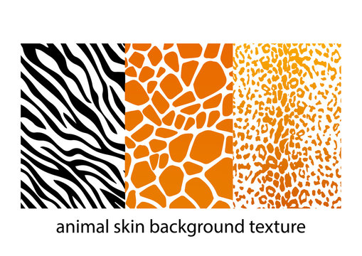 animal skin textures