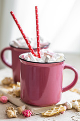 a delicious Cup of cocoa with marshmallows and straws