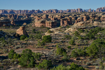 Fototapeta na wymiar Needles sandstone spires and Big Spring Canyon in the morning viewed from Slickrock foot trail Needles District of Canyonlands National Park, Utah, United States