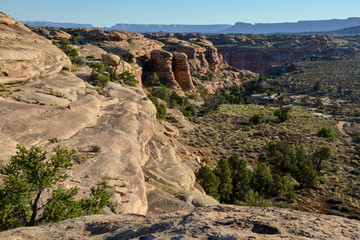 canyon cliff at Slickrock foot trail in the morning
Needles district of Canyonlands National Park, Utah, United States