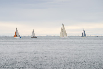 sea yachts racing