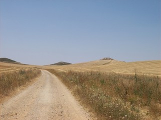 On the road towards santiago de compostela