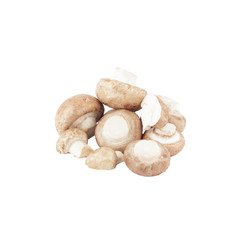 Heap of raw white champignons, isolated on white