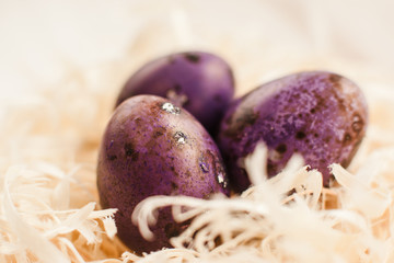 Three painted easter eggs in a handmade white nest closeup view. Easter background. Tradition, home decor, celebration concept