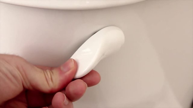Flushing Toilet Action with Sound