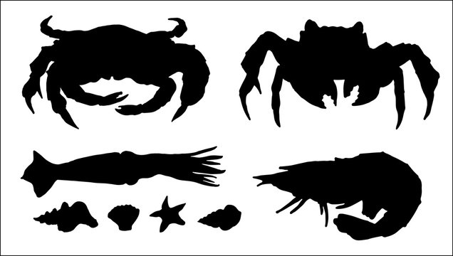 set of silhouettes of crab, squid, seashell and shrimp