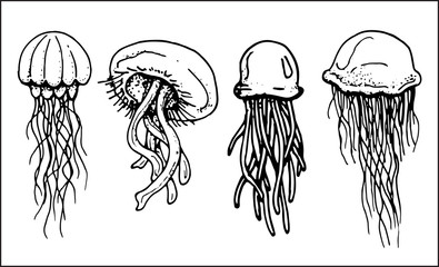 set of contours of jellyfishes © sokolovaju