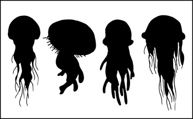 set of silhouettes of jellyfishes © sokolovaju