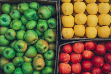 Red and yellow and green juicy apples in a box. apple background.