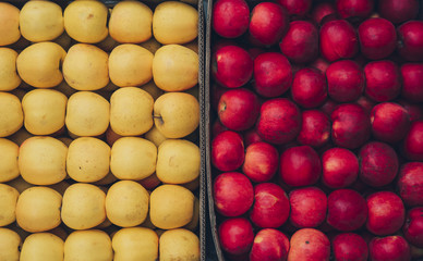 Red and yellow juicy apples in a box. apple background.