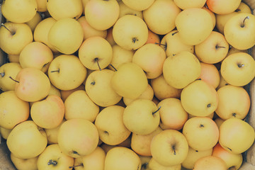 A group of yellow-red and fresh apple in box on wood background.