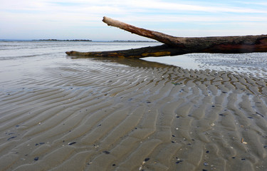 Bassa marea sul mare Adriatico