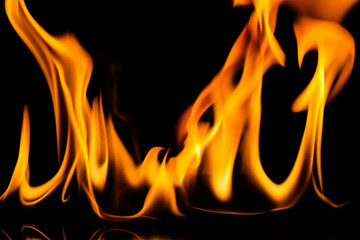 Fototapeta premium Fire flames background
