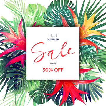 Summer vector floral sale banner. Tropical template design with palm leaves and red guzmania flowers.