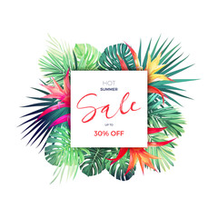 Naklejka premium Summer vector floral sale banner. Tropical template design with palm leaves and red guzmania flowers.
