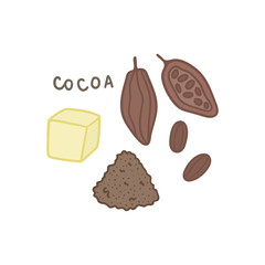 Cocoa superfood isolated on white. Vector hand drawn illustration