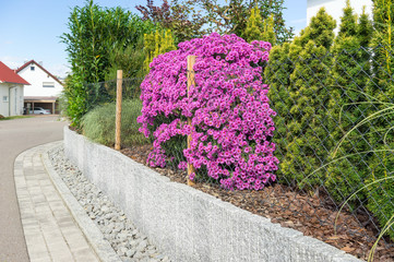 Gartenmauer mit unterschiedlicher Bepflanzung