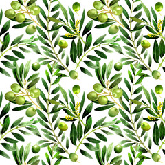 Olive tree pattern in a watercolor style isolated.
