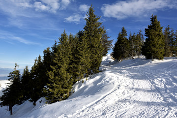 Winter landscape