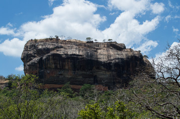 Fototapeta na wymiar Sigiriya (Lion’s Rock) Rock Fortress in Sri Lanka