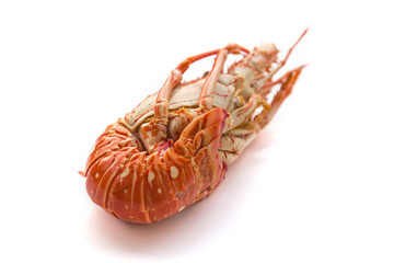 Langouste