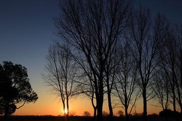 Landscape of dawn at the Watarase drainage basin