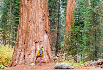 Tourist with backpack hiking in Sequoia National Park