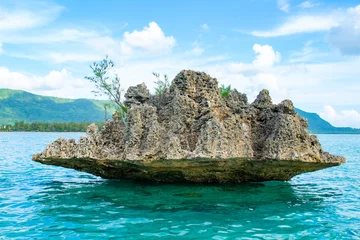 Foto op Plexiglas Le Morne, Mauritius Coral Mushroom Rocks in Le Morne Lagoon op Mauritius