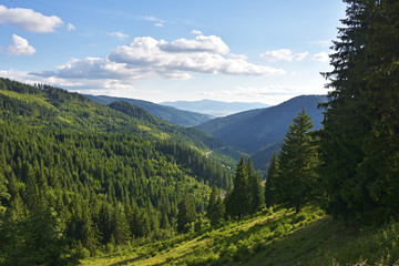 Fototapeta premium mountain landscape