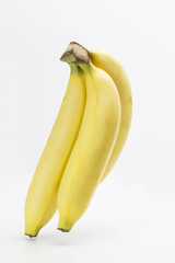 Gros Michel banana