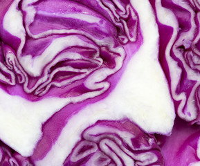 Obraz premium Red cabbage as background