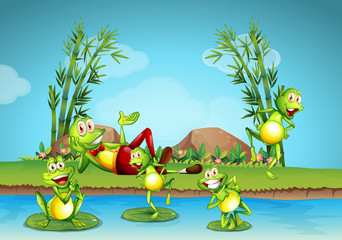 Five frogs living by the pond