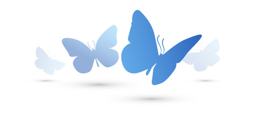 Naklejka premium farfalle, silhouette, sagome, volare, leggerezza, volo