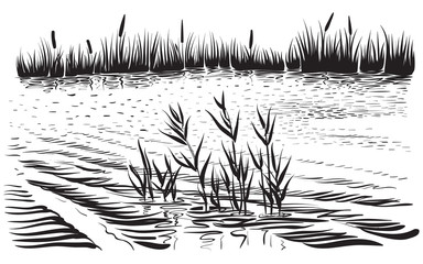 Vector illustration of river landscape with cattail and trees. - obrazy, fototapety, plakaty
