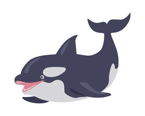 Killer Whale Cartoon Flat Vector Illustration