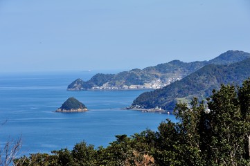 豊後水道河津桜まつり