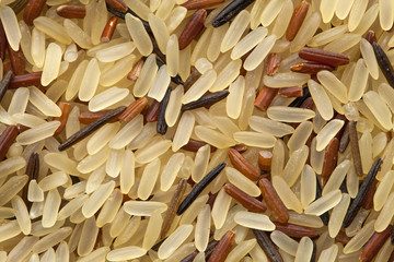 mixed rice background