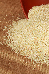placer sesame seed