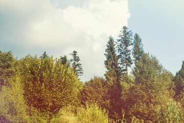 Beautiful mountains landscape in summer.