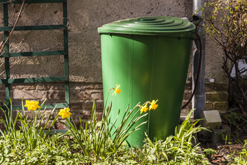 Regentonne im Garten, rain barrel in a garden