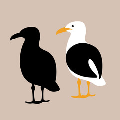 seagull vector illustration style Flat set black silhouette