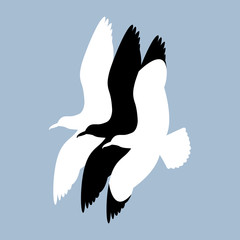 seagull vector illustration style Flat set black silhouette